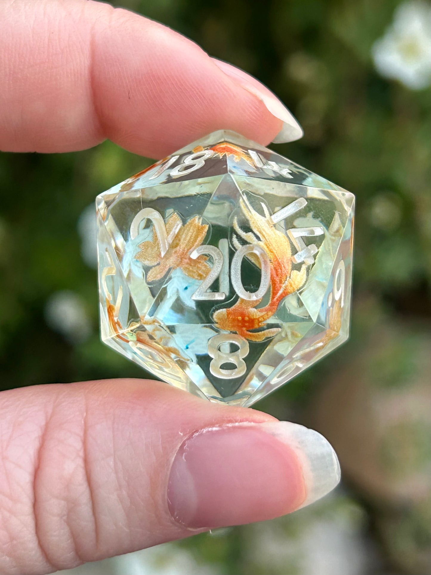 Single D20s
