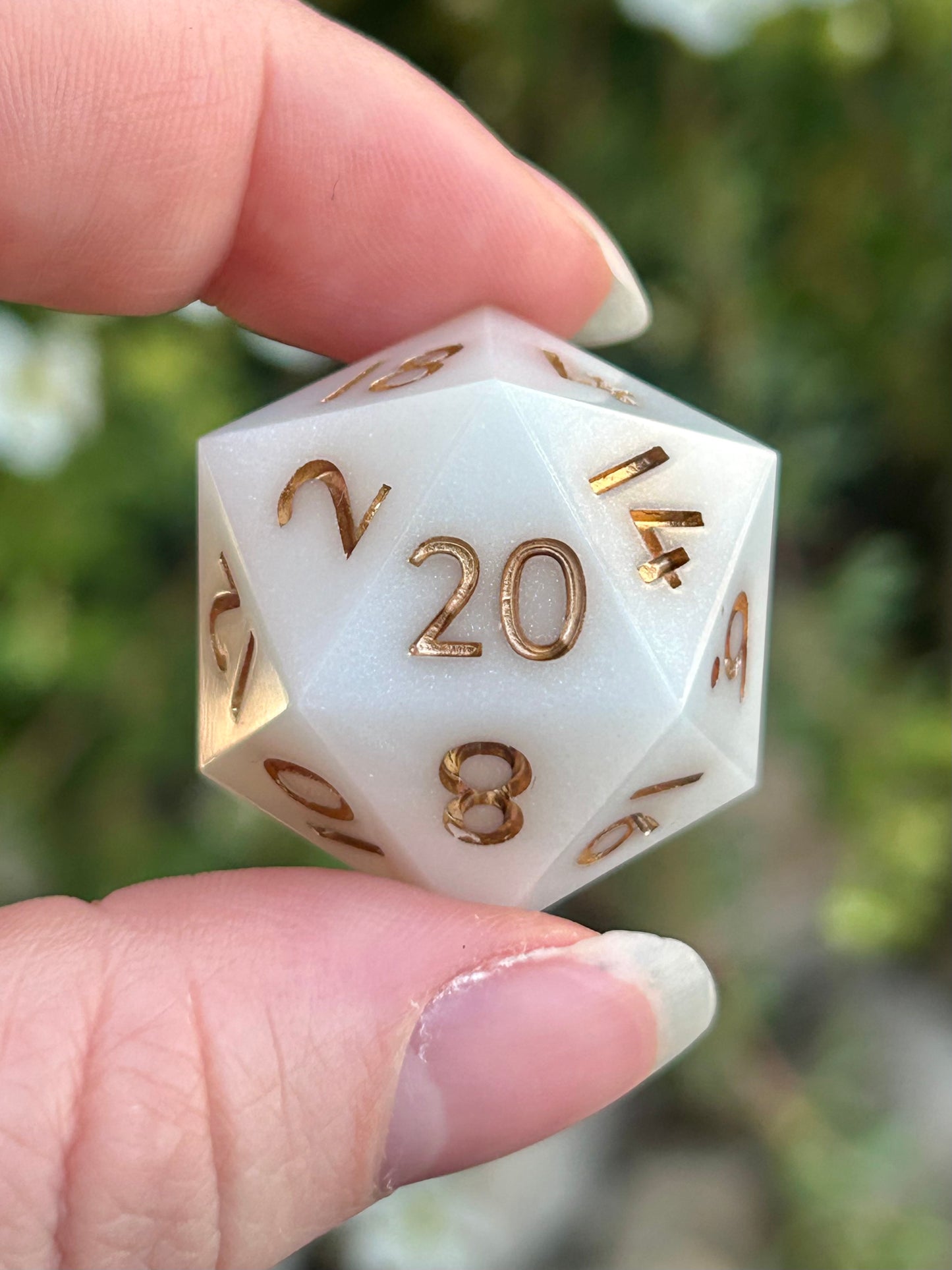 Single D20s