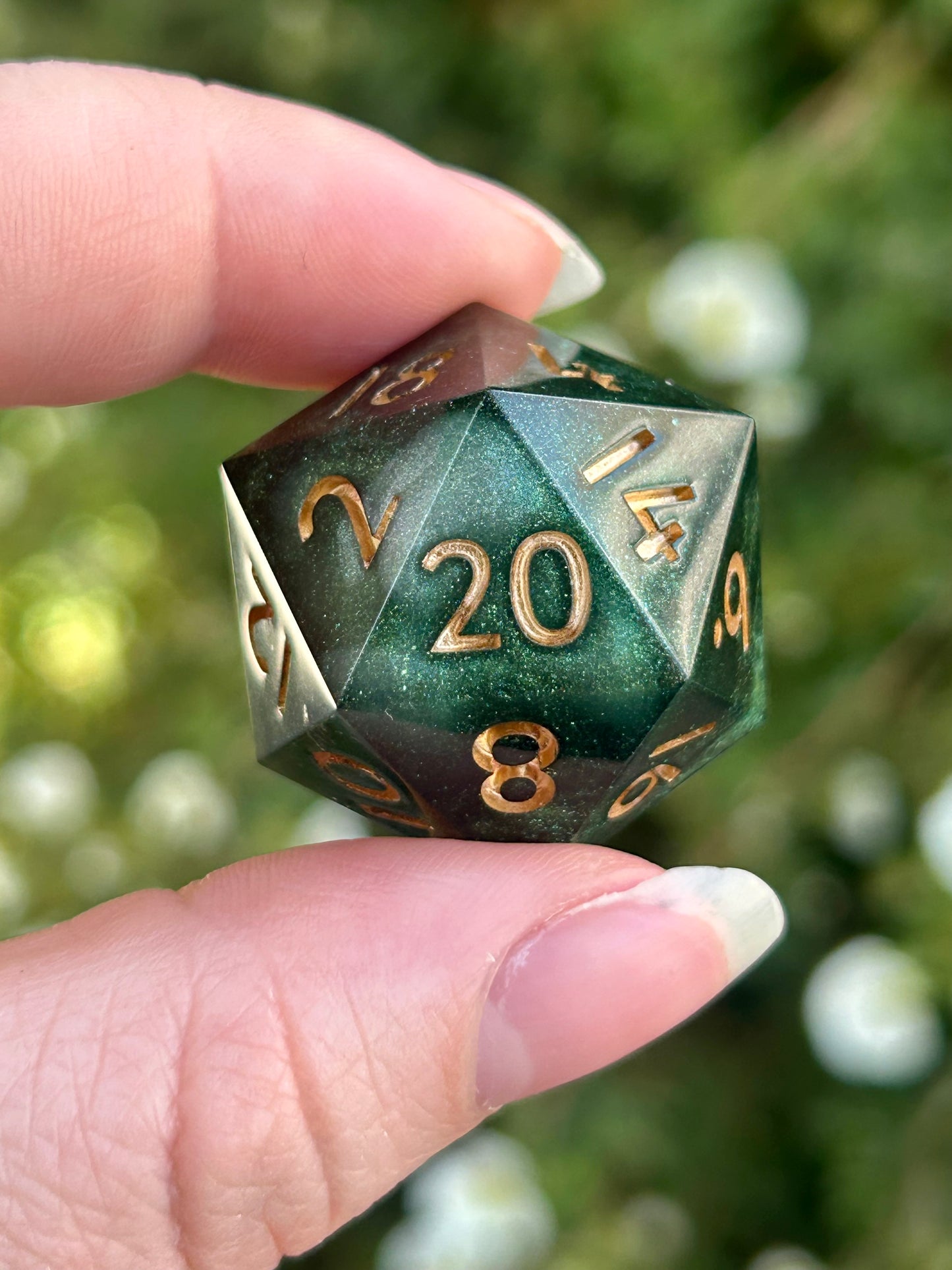 Single D20s