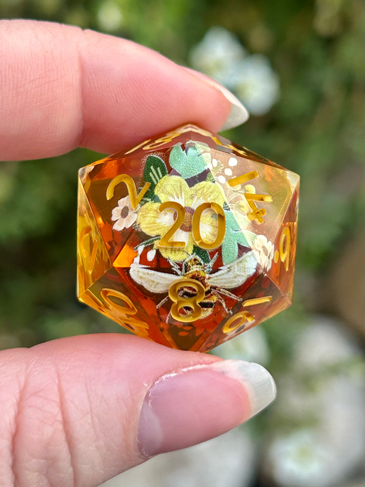 Single D20s
